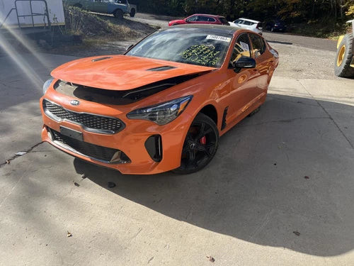 2019 Kia Stinger Rear 3.3L W/Limited Sl Used OEM Differential Carrier Assembly used OEM differential carrier assembly