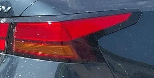 2019-2025 Nissan Altima RH Passenger Quarter Panel Mounted Tail Light Lamp OEM used OEM tail light assembly