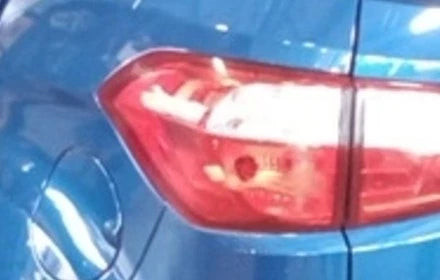 2018-2022 Ford EcoSport Driver Left Quarter Tail Light Tail Lamp OEM used OEM tail light assembly