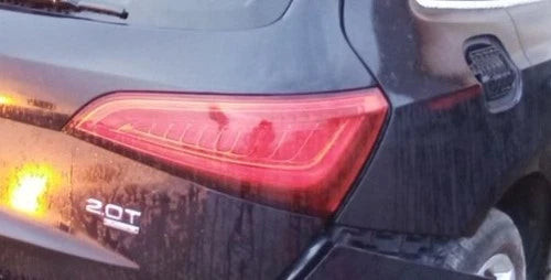 13-16 Audi Q5 RH Passenger Tail Light Lamp Gate Mount LED OEM OEM used OEM tail light assembly