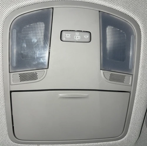 2019-2020 Hyundai Elantra Front Without Sunroof Gray Used Overhead Console