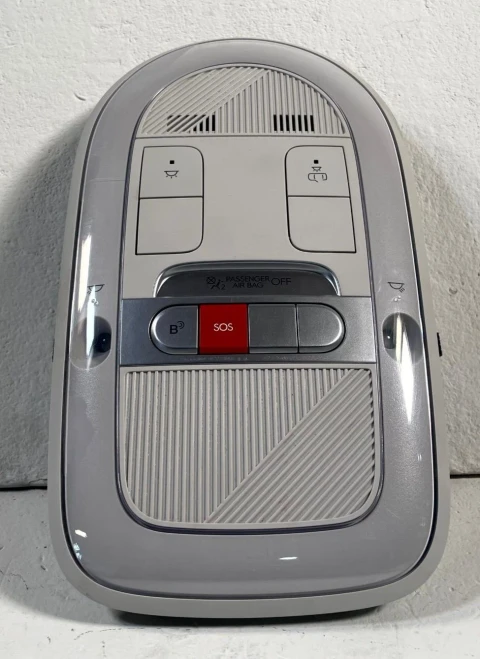 2022-2024 Hyundai Ioniq Used Overhead Console