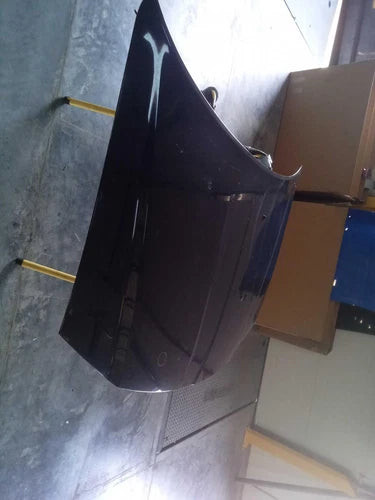 2013 Chrysler 300 Used OEM hood used OEM hood