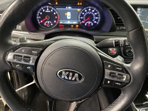 2019 Kia Cadenza Driver Steering Wheel Used OEM Airbag