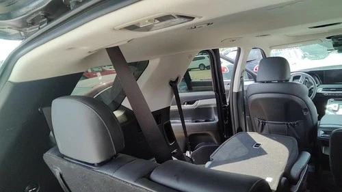 2020-2025 Hyundai Palisade Driver Roof Curtain Used OEM Airbag
