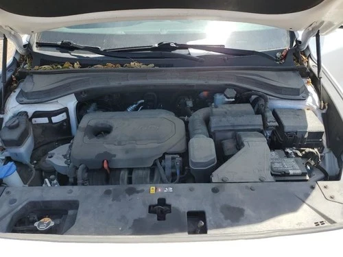 2020 Hyundai Santa Fe Passenger Airbag Used OEM Airbag