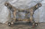 14-22 JEEP GRAND CHEROKEE SRT-8 TRACKHAWK OEM REAR SUBFRAME CROSSMEMBER #1454 used OEM rear subframe and crossmember