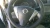 2018 Nissan Versa Driver Steering Wheel Used OEM Airbag