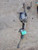 2014-2017 Chevy Equinox Gmc Terrain Rack And Pinion 2.4L Assembly OEM used OEM rack and pinion