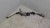 2015 Subaru Outback Power Steering Rack and Pinon OEM used OEM rack and pinion