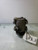 2001-2009 Volvo S60 V70 S80 A/C AC Compressor 2.4L OEM