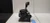2014-2019 Ford Fiesta Used OEM Floor Shifter