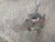 1965-1966 Chevrolet Impala Automatic Used OEM Floor Shifter