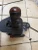 1998-2001 BMW 540 Automatic Used OEM Floor Shifter