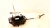 2010-2012 Audi S5 Automatic Used OEM Floor Shifter