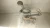 2006 Honda Civic Used OEM Floor Shifter