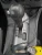 Mitsubishi Eclipse Used OEM Floor Shifter