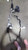 2015-2019 Ford Escape Power Steering Gear Rack & Pinion Electric Assist - Used. used OEM rack and pinion