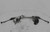 2013-2014 Ford Focus Steering Gear Rack And Pinion Vin 2 8th Digit 18" wheels used OEM rack and pinion