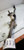 12-17 Hyundai Veloster Power Steering Rack Gear OEM Rack & Pinion used OEM rack and pinion