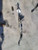 2001-2006 Mercedes C Class C230 C240 C320 Power Steering Gear Rack And Pinion used OEM rack and pinion