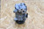 2021-2024 BMW F44 228i Gran Coupe AC Air Conditioning Compressor & Clutch OEM