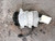19-24 BENTLEY CONTINENTAL GT PORSCHE PANAMERA A/C AC AIR COMPRESSOR ASSY OEM