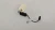 2020-2021 Ford Escape Used OEM Audio Amplifier