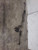 2010-2013 Mazda 3 Power Steering Gear Rack And Pinion W/O Turbo Oem used OEM rack and pinion