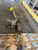 1995 - 2000 CHRYSLER CIRRUS 2.5L Power Steering Gear Rack & Pinion Assembly OEM used OEM rack and pinion