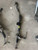 11-15 DODGE DURANGO Steering Gear Power Rack And Pinion USED OEM used OEM rack and pinion