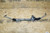 Hydraulic Steering Gear Rack and Pinion OEM Porsche 986 Boxster 996 Carrera used OEM rack and pinion