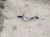 2015-2017 Subaru XV Crosstrek Power Electric Steering Gear Rack & Pinion OEM used OEM rack and pinion
