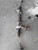 2004 - 2005 MAZDA 3 Power Steering Gear Rack & Pinion Assembly OEM 2.0L used OEM rack and pinion