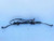 07 08 09 10 11 TOYOTA CAMRY OEM POWER STEERING RACK AND PINION GEAR BOX used OEM rack and pinion