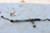 2014-2016 KIA CADENZA POWER STEERING GEAR RACK AND PINION ASSEMBLY OEM used OEM rack and pinion