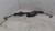 2011-2016 BMW 528i Electric Power Steering Gear Rack And Pinion AWD Used used OEM rack and pinion