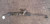 2015-2018 Nissan Altima Sedan 2.5L Steering Gear Rack & Pinion OEM used OEM rack and pinion