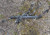 02-05 BMW 745I E65 POWER STEERING RACK AND PINION ASSEMBLY 6768117 OEM used OEM rack and pinion
