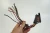 2003-2005 Mercedes-Benz CLK500 W209 Used OEM Audio Amplifier