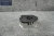 Mercedes-Benz E63 Harman Becker W218 Used OEM Audio Amplifier