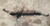 1992-1997 Volvo 850 GLT Rack and Pinion Power Steering Front Assembly OEM #634M used OEM rack and pinion