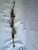 2019 -2020 HONDA PASSPORT OEM STEERING GEAR RACK & PINION FWD (53400T62A0) used OEM rack and pinion