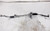 2013-2018 Lexus ES300H Power Steering Gear Rack & Pinion Assembly OEM used OEM rack and pinion