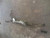 2012-2014 Subaru Impreza Electric Power Steering Gear Rack And Pinion 2.0L Oem used OEM rack and pinion