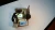 1983 Nissan 25065P7100 Used OEM Audio Amplifier