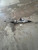 2017-2023 TESLA M3 ELECTRIC POWER Used OEM Rack and Pinion used OEM rack and pinion