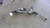 2018 Chevy Malibu ELECTRIC ASSIST Power Steering Gear Rack & Pinion Assembly OEM used OEM rack and pinion