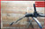 2003-2008 BMW E85 Z4 E86 Power Steering Rack And Pinion Assembly 7810974106 OEM used OEM rack and pinion