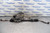 2001 ACURA INTEGRA GS-R 1.8L B18C1 OEM STEERING RACK N PINION ASSY #4610 used OEM rack and pinion